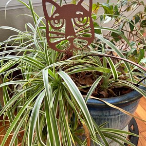 plant support