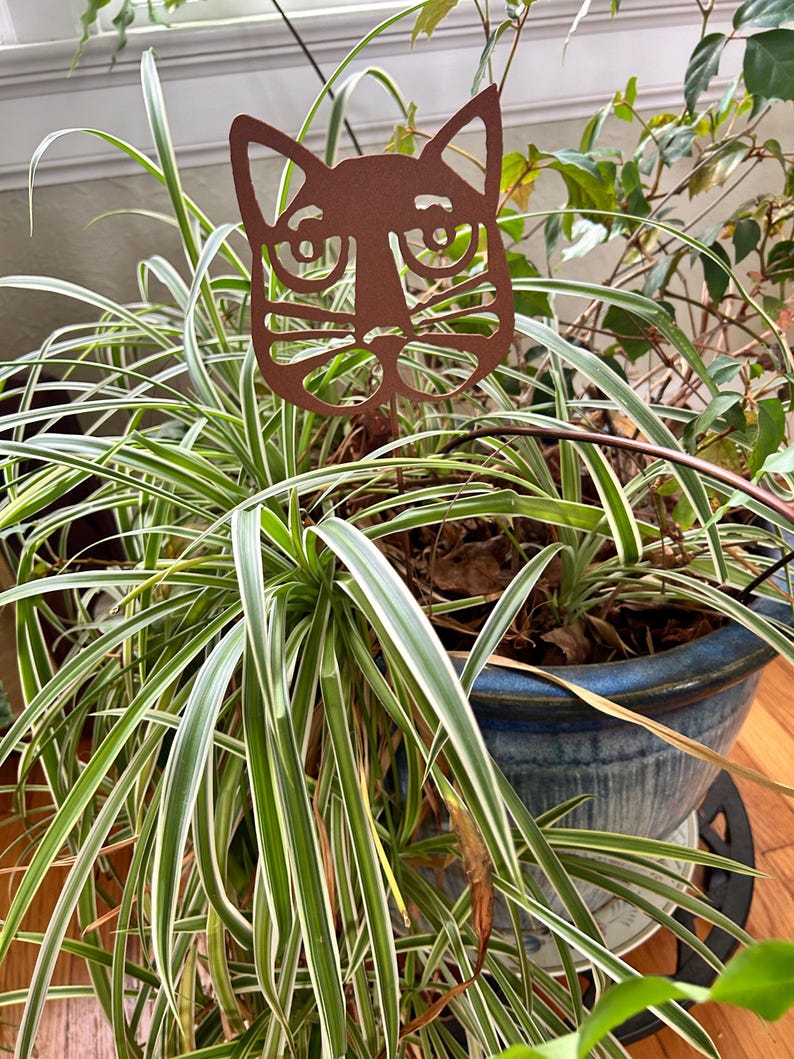 plant support