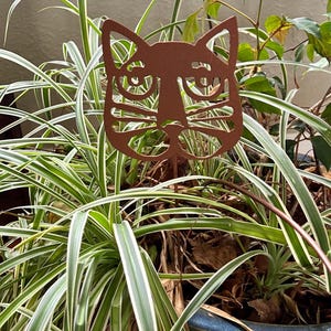 May include: A metal garden stake featuring a stylized cat face with a copper finish. The cat's eyes are large and round, and its whiskers are detailed. The stake is inserted into a potted plant with green and white striped leaves.