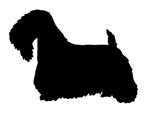 sealyham terrier cost