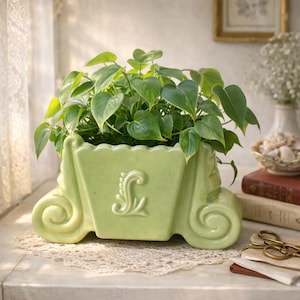 May include: A pale green ceramic planter in the shape of a carriage, filled with green leafy plants. The planter features scroll detailing and a decorative emblem. The design has a vintage, charming aesthetic.