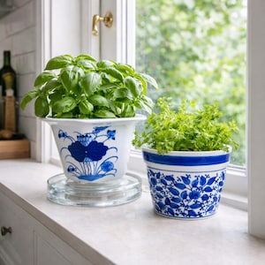 May include: Two ceramic plant pots with green foliage on a windowsill. The larger pot has a white base with blue floral designs and a clear glass saucer. The smaller pot is white with blue floral patterns and a blue stripe.