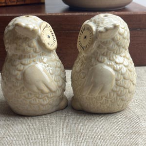 Vintage Owl Salt and Pepper Shakers | Charming Ceramic Owl Vintage Shakers | Ceramic Hand-Painted Retro Kitchen Decor