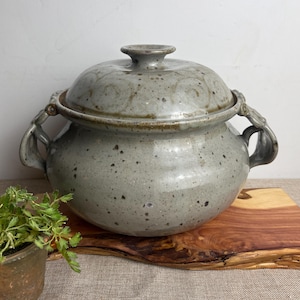 May include: A speckled, grey ceramic casserole dish with a lid and handles. The dish is round with a slightly bulbous body. The lid has a small knob. The dish is sitting on a wooden chopping board.