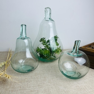 May include: Three clear glass terrariums shaped like a pear, a teardrop, and an apple. The pear and teardrop terrariums have a circular opening, and the teardrop terrarium contains green plants. The apple terrarium has a stem and a circular opening.