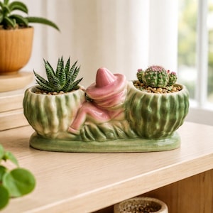 May include: A ceramic cactus-shaped planter with a figure wearing a pink sombrero resting between two plant pots. One pot holds a succulent, the other a small cactus. The planter is green with pink and brown accents.