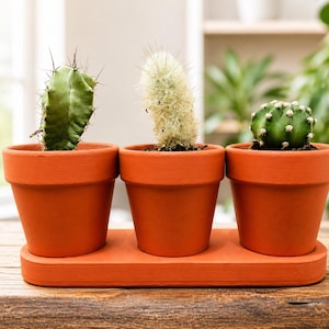 Indoor Plant Pot Set With Drainage Tray, Terracotta Style Succulent Planter, Mini Cactus Holder, Window Sill Decor, Housewarming Gift