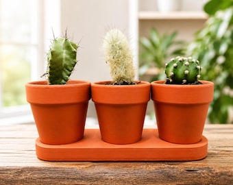 Indoor Plant Pot Set With Drainage Tray, Terracotta Style Succulent Planter, Mini Cactus Holder, Window Sill Decor, Housewarming Gift