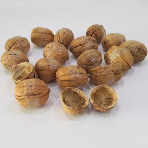 May include: A collection of walnut shells, some whole and some cracked open, arranged in a circle on a white surface.