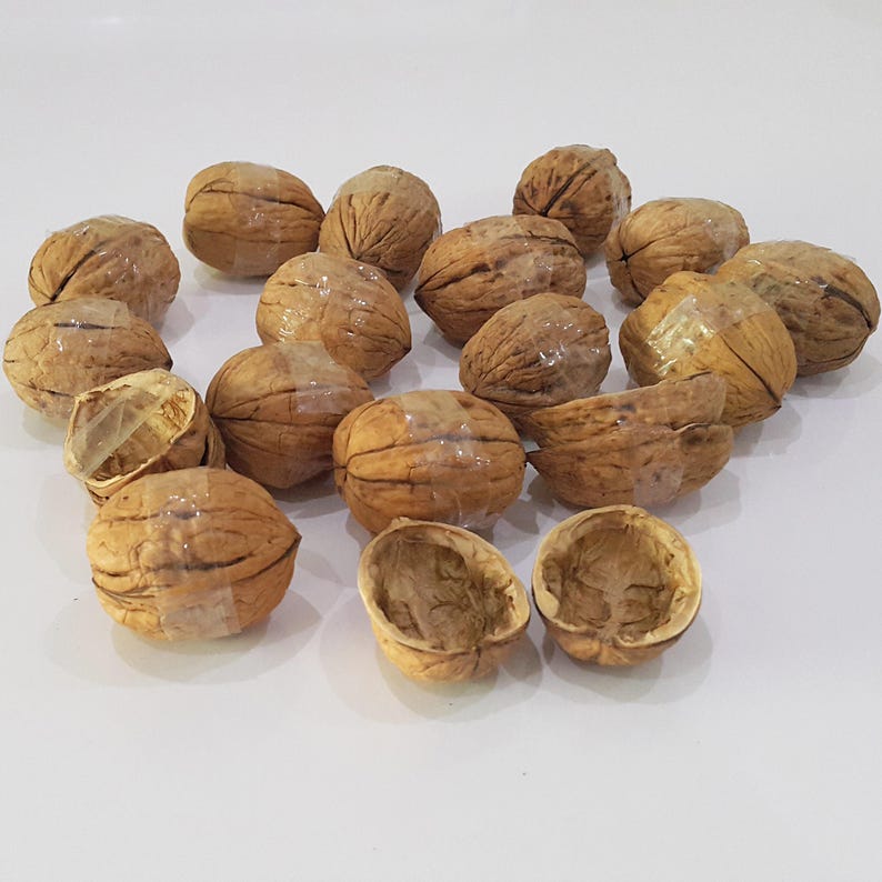 May include: A collection of walnut shells, some whole and some cracked open, arranged in a circle on a white surface.