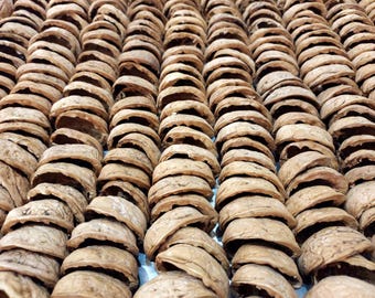 1 000 demi-coques de noyer naturel, Décoration de Noël bio, Matériau époxy pour la fabrication de table, Noyer en vrac