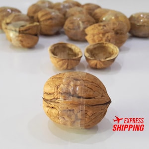 80 Paired Walnut Shell Halves Natural Decoration Crafting Organic Ornaments Craft Supplies DIY