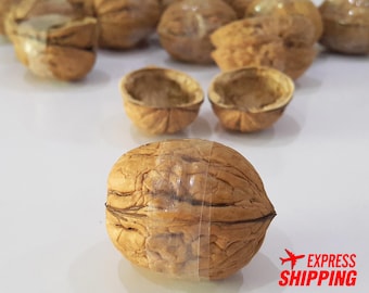 80 Paired Walnut Shell Halves Natural Decoration Crafting Organic Ornaments Craft Supplies DIY