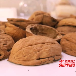 100 Walnut Shell Halves Organic Christmas Ornament Crafts Supplies Natural Arts Supply