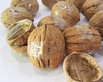 Walnut Shell Halves: Natural Crafting Ornament Supplies