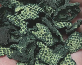 10 Piece Set | Hermit Crab Food