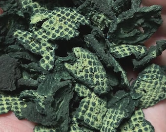 Shell Builder - Snello Snail & Shrimp Food – Calcium-Rich Dehydrated Veggie Treats 1 Ounce (28.35 Grams)