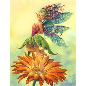 A Practical Guide to Faeries 8.5 x 11 Print