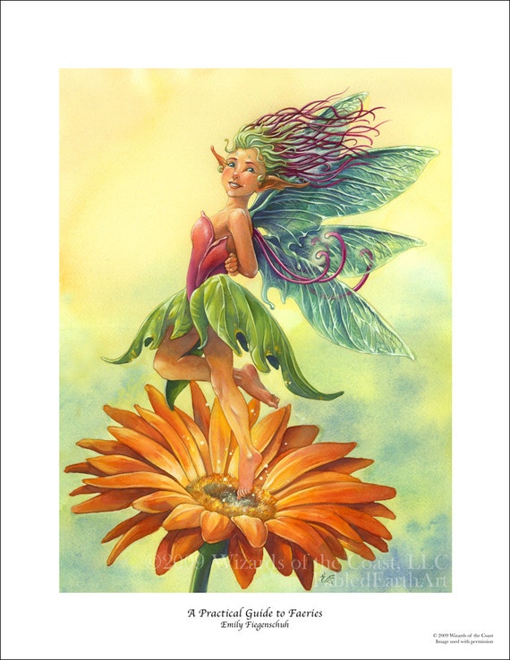 A Practical Guide to Faeries 8.5 X 11 Print - Etsy