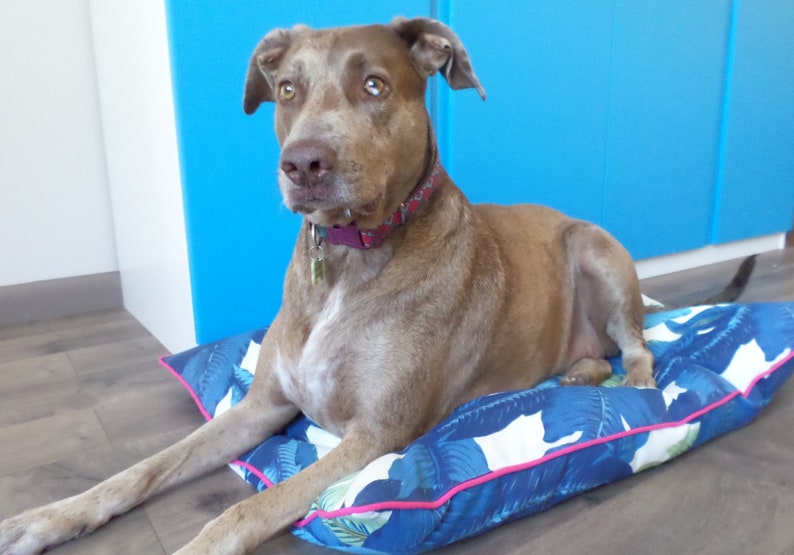Blue Dog Bed Duvet Cover Tropical Decor Palm Leaf Cushion And Pink Swaying Floor Pillow Case Tommy Bahama Fabric