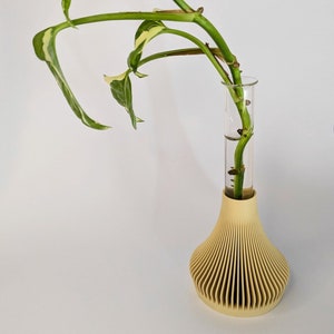 Peut inclure: Une plante verte et blanche panachée aux tiges longues est en cours de propagation dans un tube à essai en verre transparent. Le tube à essai est inséré dans un vase en céramique beige à motif côtelé.