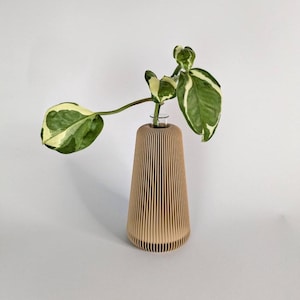 Puede incluir: Un jarrón de madera marrón claro con ranuras verticales, que contiene un solo tallo de una planta verde y blanca variegada.