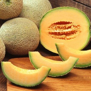 Cantaloupe Melon Seeds: Sweet Heirloom Muskmelon for Home Garden