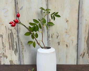Könnte beinhalten: Eine weiße Keramikvase mit kleiner Öffnung hält einen Zweig mit grünen Blättern und roten Beeren. Die Vase steht auf einer dunklen Holzoberfläche vor einem verwitterten, hellen Holz-Hintergrund. Einige Beeren und Blätter liegen verstreut.