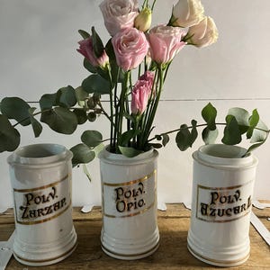 Può includere: Tre antichi vasi da farmacia in ceramica bianca con finiture dorate ed etichette, ognuno con fiori rosa e bianchi e verde. I vasi sono etichettati "Polv. Zarzap", "Polv. Opio" e "Polv. Azucar".