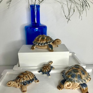 Pode incluir: Uma coleção de figuras de tartarugas de cerâmica em vários tamanhos. As tartarugas têm conchas estampadas em marrom e azul e corpos bege. Uma garrafa de vidro azul cobalto e vegetação ao fundo.