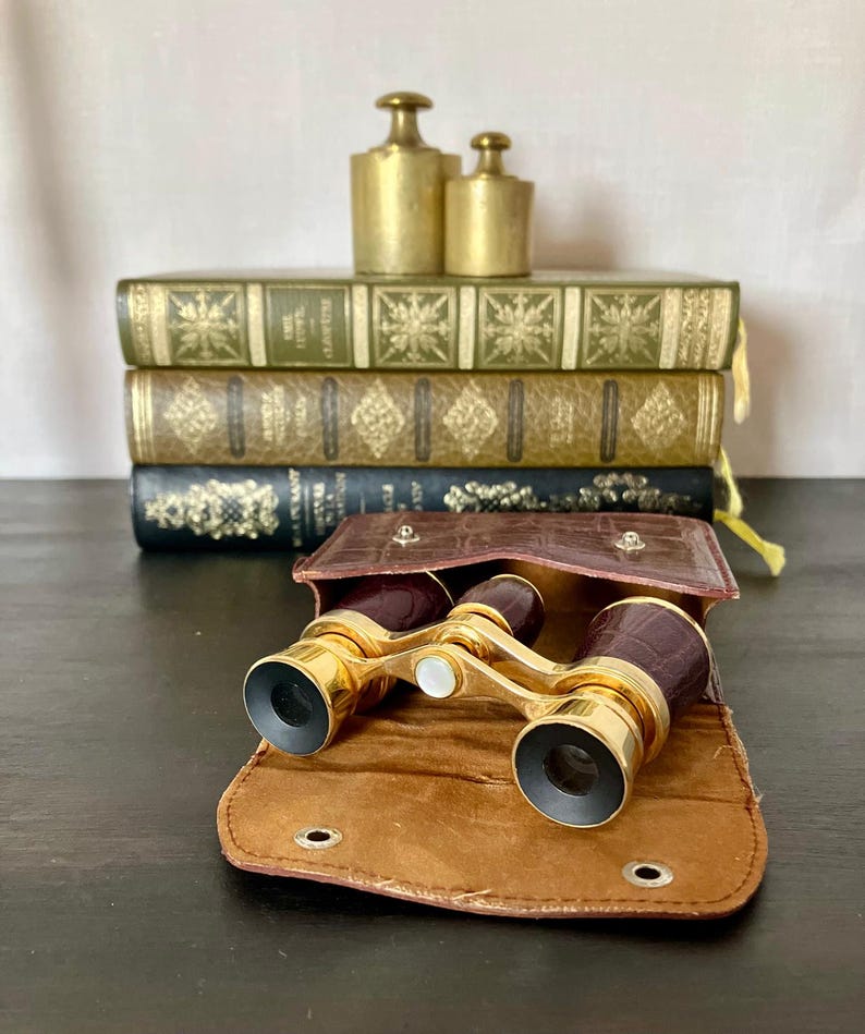 Vintage French Opera Glasses with Original Leather Case, Brass & Leather Theatre Binoculars, Library Decor, Gentleman’s Gift. image 7