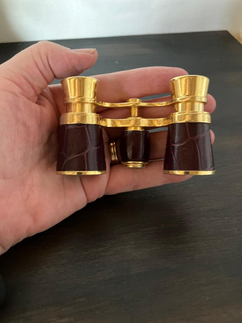 Vintage French Opera Glasses with Original Leather Case, Brass & Leather Theatre Binoculars, Library Decor, Gentleman’s Gift. image 12