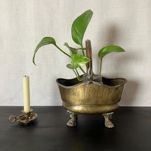 Peut inclure: Un seau à charbon en laiton avec une texture martelée, une anse mobile et trois pieds en forme de griffe, contenant une plante verte. À côté se trouve un petit bougeoir en laiton avec une bougie effilée crème sur un socle assorti.