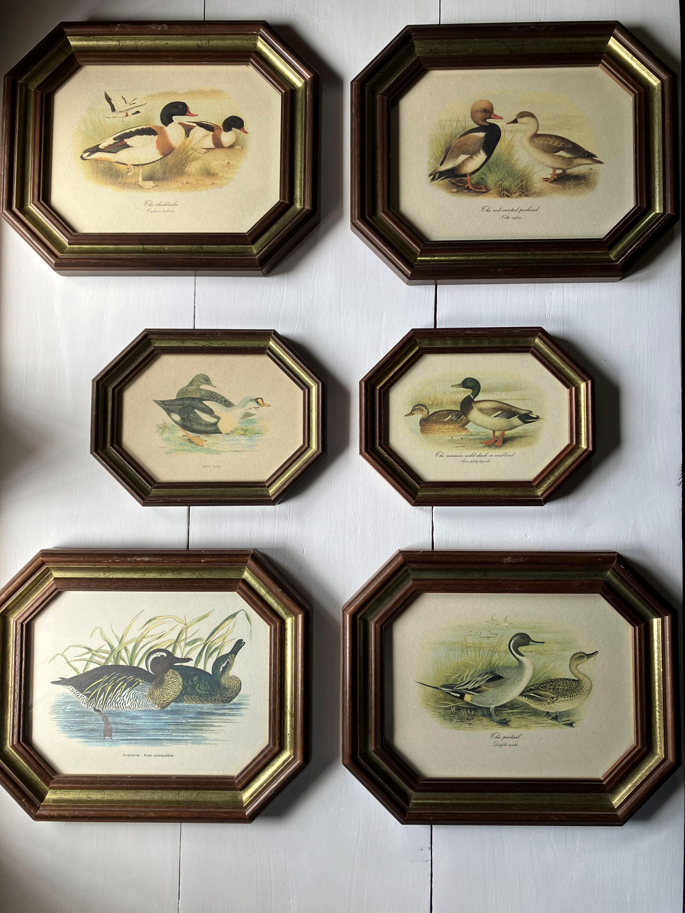 Grafiche Tassotti - Etsy