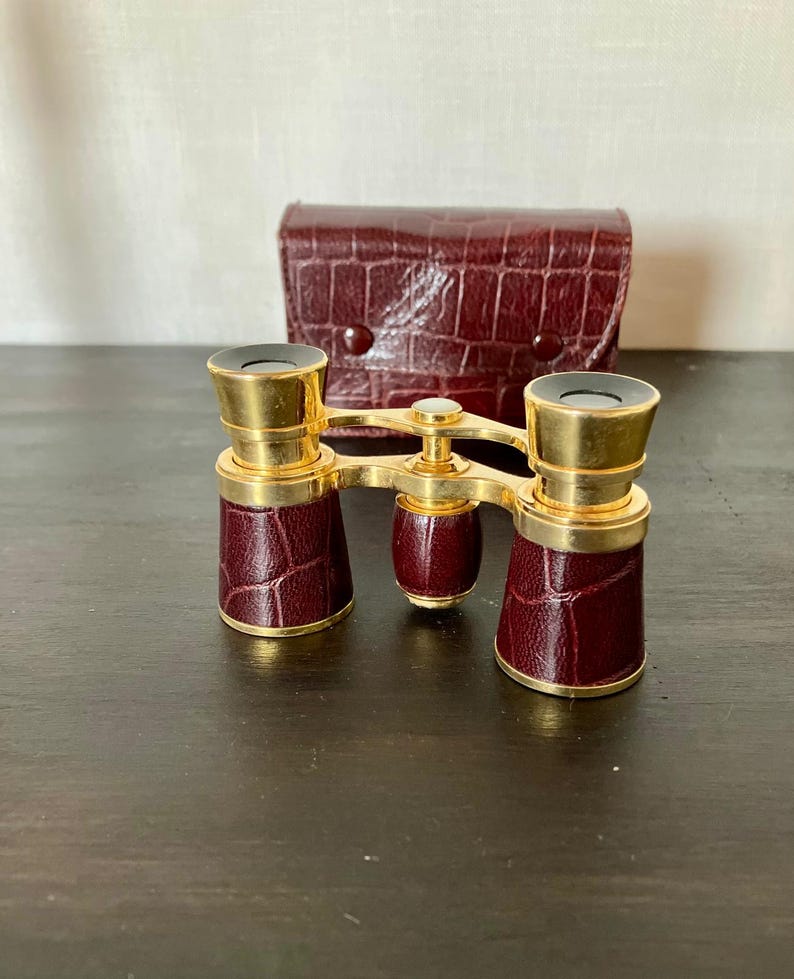 Vintage French Opera Glasses with Original Leather Case, Brass & Leather Theatre Binoculars, Library Decor, Gentleman’s Gift. image 1