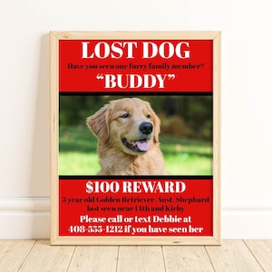 Lost Dog Flyer Template, Editable Missing Dog 8.5x11 Sign, Printable Missing Dog Flyer, Personalized Lost Animal, Lost Pet Sign, Corjl