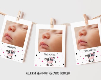 Editable Cow First Year Photo Banner, Printable Cow First Birthday Party, Farm Party Decorations, Cow Party, Instant Downlaod, HCHM