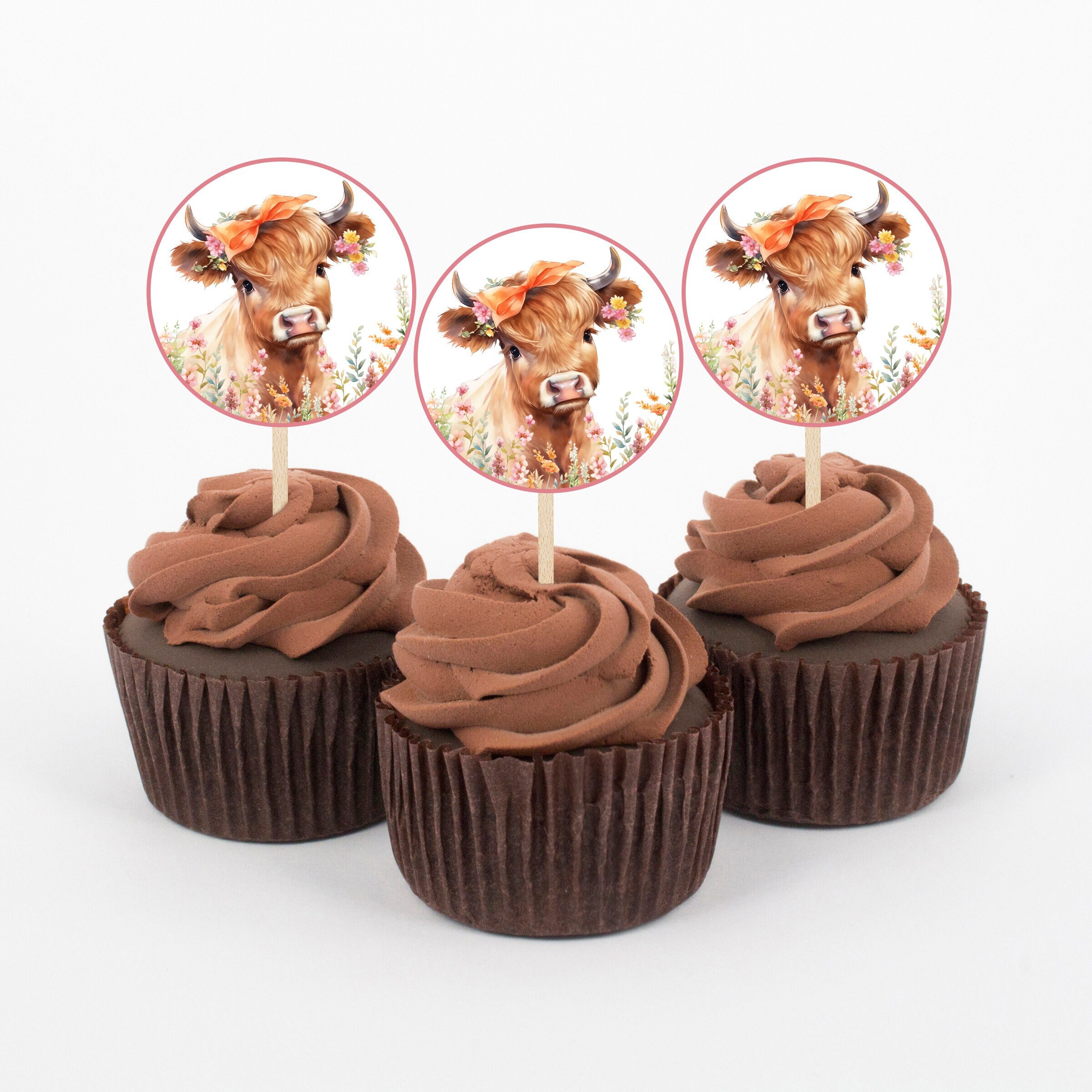 Highland Cow Birthday Decorations Set - Happy Birthday Banner & Garland, Boho Floral Farm Animal Party Decor - View #6