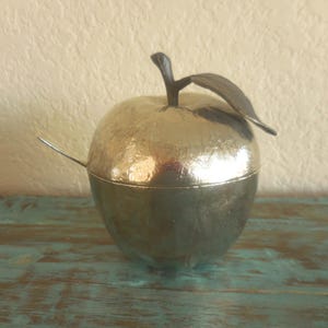 May include: A silver-colored apple-shaped container with a leaf and stem detail on top. A small spoon is inserted into the side of the container. The container is sitting on a teal and brown surface.