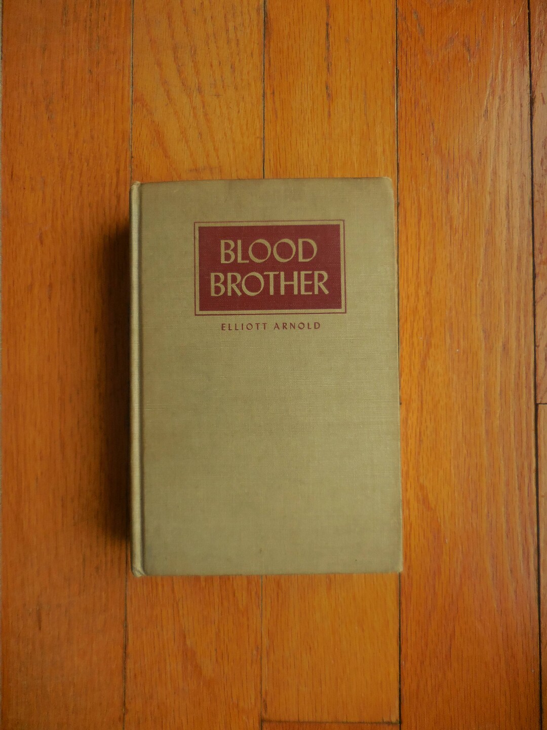 Blood Brother by Elliott Arnold 1950 Illustration Dale Nichols Etsy