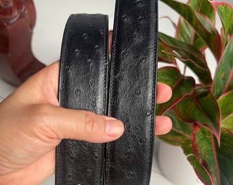 Genuine Ostrich Leather Belt: Men's/Women's Wide Belt, Silver Buckle