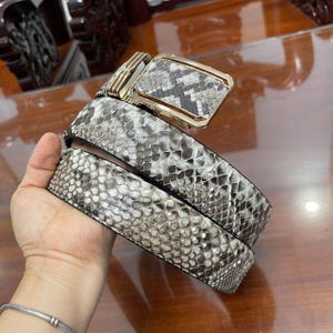 May include: A coiled belt featuring a textured snakeskin pattern in shades of gray, black, and white. The belt includes a rectangular gold-toned metal buckle with a matching snakeskin inlay on the front surface, secured by a polished gold frame.