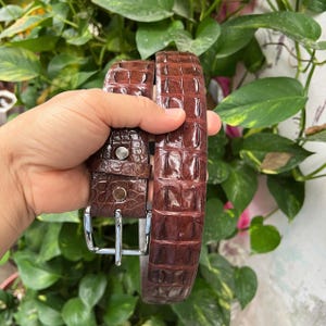 Puede incluir: Un cinturón marrón oscuro con un patrón texturizado brillante de piel de cocodrilo. El cinturón cuenta con una hebilla de metal plateado pulido y dos remaches de metal plateado a juego que aseguran la trabilla cerca de la hebilla.