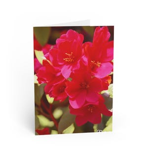 Floral note cards for Any Occasion, Birthday Cards, Thank You Cards, Mother's Day Cards, Handmade Stationery