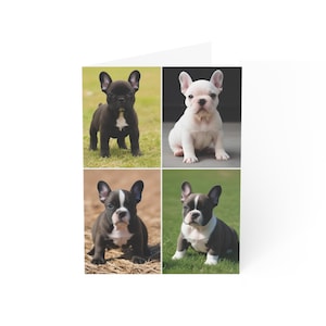 Französische Bulldogge Welpen-Mitteilungskarten, süße Hundekarten für Geburtstage, Muttertag, Dankesnotizen, Tierliebhaber, 1-50 Packungen verfügbar