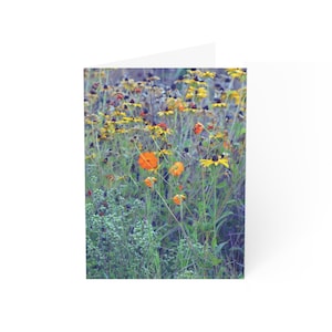 Set bloemen wenskaarten: op de natuur geïnspireerde kaarten voor elke gelegenheid, blanco binnenkant voor persoonlijke berichten, perfect voor verjaardagen, bedankt