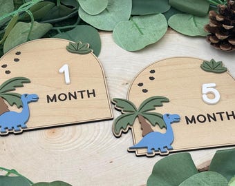 Dinosaur Monthly Milestone Props, Baby Milestone Marker, Dinosaur Baby Shower Gift, Baby's First Year, Dinosaur Milestone Marker