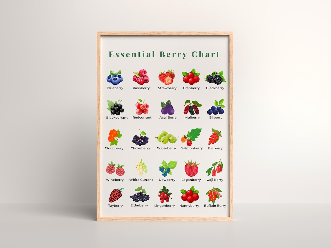 Berry Chart Poster: Kitchen Wall Art for Kids & Adults (digital ...