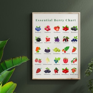 Berry Chart Poster: Kitchen Wall Art for Kids & Adults (digital ...