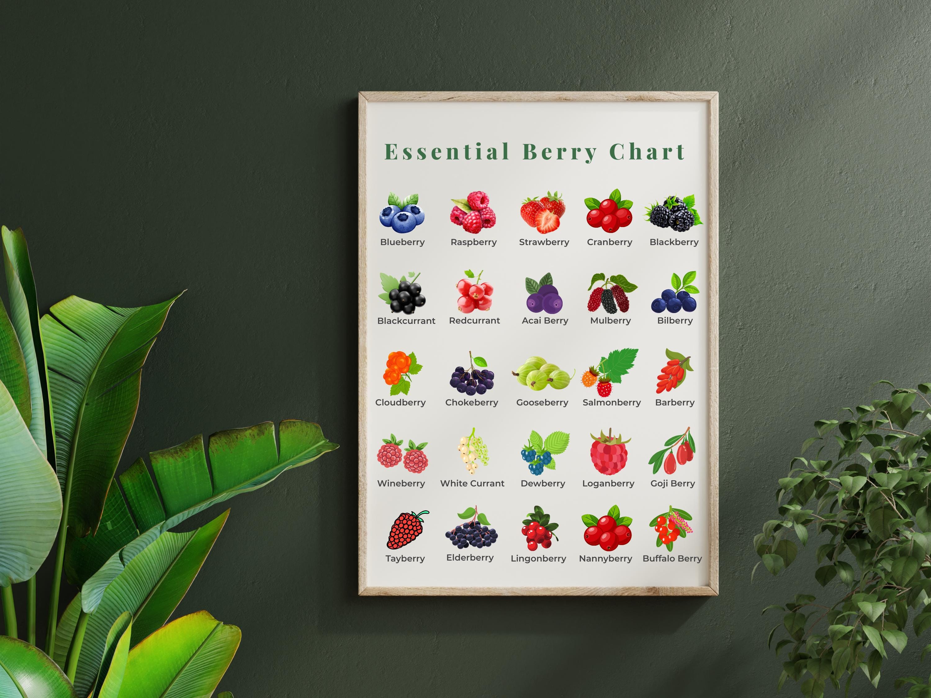 Berry Size Chart Berry Chart Poster: Kitchen Wall Art for Kids & Adults (digital ...